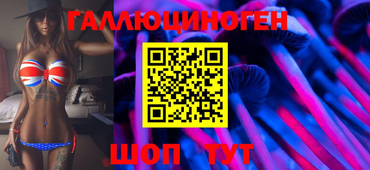 Галлюциногенные грибы Psilocybe  купить   Южно-Сахалинск  Вход с VPN 